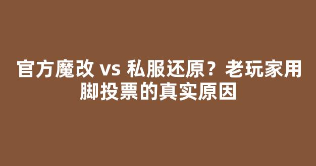 官方魔改 vs 私服还原？老玩家用脚投票的真实原因